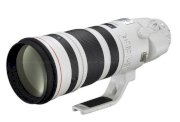 Canon EF 200-400mm F4 L IS USM Extender 1.4x