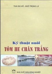 Kỹ thuật nuôi tôm he chân trắng