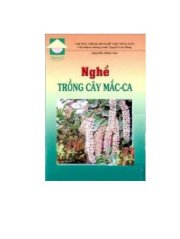 Nghề trồng nấm mắc - ca