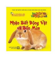 Bước khởi đầu cá heo nhỏ dành cho nhi đồng - Tập sách cho bé từ 0 đến 3 tuổi - Trọn bộ (bộ 10 cuốn) 