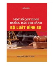 Một số quy định hướng dẫn thi hành bộ luật hình sự