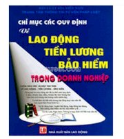 Chỉ mục các quy định về lao động - tiền lương - bảo hiểm trong doanh nghiệp (bìa cứng) 