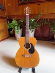 Morales Folk Guitar MF 150 