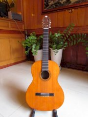 Yamaha G170A