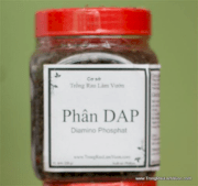 Phân DAP