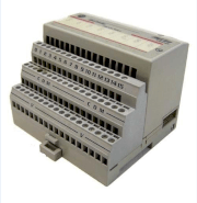 Digital ac Output Modules Allen-Bradley 1794-OA8I