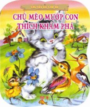 Chuyện kể cho bé - Chú mèo mướp con thích khám phá