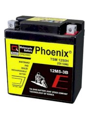Ắc quy Phoenix TSM1245 (12V-4,5Ah)