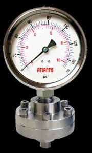 Pressure Gauge Aslantis DS160 (Đồng hồ áp suất)