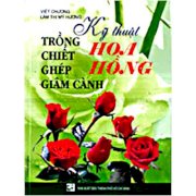  Kỹ thuật trồng - chiết - ghét - giâm cành hoa hồng 