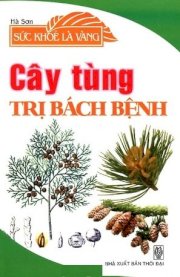 Cây tùng trị bách bệnh - Sức khỏe là vàng