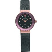 Skagen Denmark Womens Watch Charcoal & Rosegold Steel Watch #456SRM