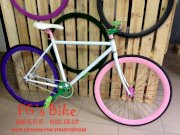 Xe đạp đường trường FIXED GEAR 01