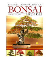 Kỹ thuật trồng và chăm sóc bonsai hiện đại