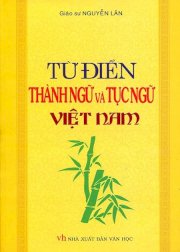 Từ điển thành ngữ và tục ngữ Việt Nam (bìa vàng)