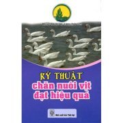 Kỹ thuật chăn nuôi vịt đạt hiệu quả