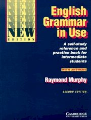 English grammar in use