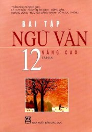 Ngữ văn 12 nâng cao - tập 2