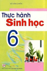 Thực hành Sinh Học 6