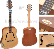 Dadarwood guitar DW450