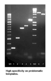 BIO-X-ACT™ Short DNA Polymerase Bioline