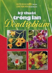 Kỹ thuật trồng lan Dendrobium (song ngữ Anh-Việt)