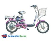 Xe đạp điện Green Giant 18PG-10