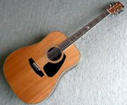 Guitar Acoustic Morris MD-525S
