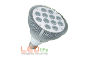 Bóng đèn Led LEDlife LED-BG-12W