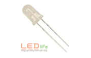 Bóng đèn Led đúc LEDlife LDC-F5-RC