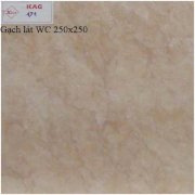 Gạch lát WC 250X250 KAG171