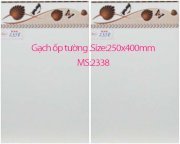 Gạch ốp 250x400 KAG2338