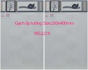 Gạch ốp tường 250x400 KAG2274