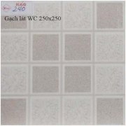 Gạch WC 250x250 KAG240