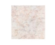 Gạch lát Đồng Tâm 50x50 503