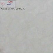 Gạch lát nền WC 250x250 KAG100