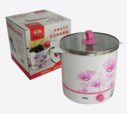  Nổi hấp bằng thủy tinh  PHG 0019