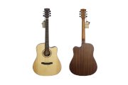 Acoustic Guitar Dove DD-220C-NM