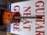 Guitar Acoustic Morris MD-512S 