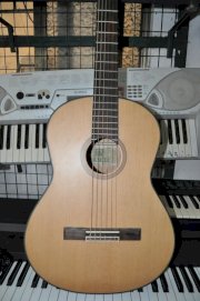 Đàn Guitar Nhật 009