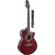 Guitar Acoustic Stagg SA40MJCFI-TR