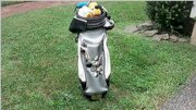 Disney Golf Bag Mickey's Golf Club by Belding Sports - with Head Covers.