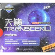 RITC 729 Cream Transcend Sponge SP