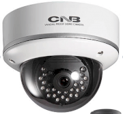 CNB LCD-51S