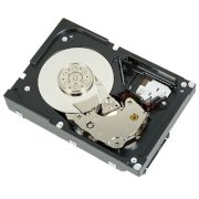 Dell 600GB 10.000 RPM SCSI (P6NW6)