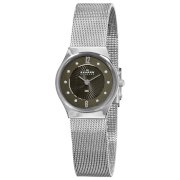 Skagen Women's 233XSSSB1 Steel Grey diamond Dial Watch
