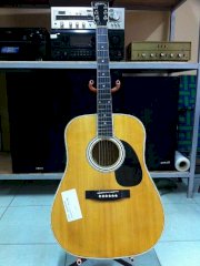 American Legacy AcousticElectric Guitar AL-100
