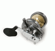  Shimano Torium Saltwater Drag Reel 