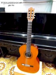 Fernandes GC-15