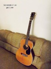 Guitar Acoustic Morris F-10